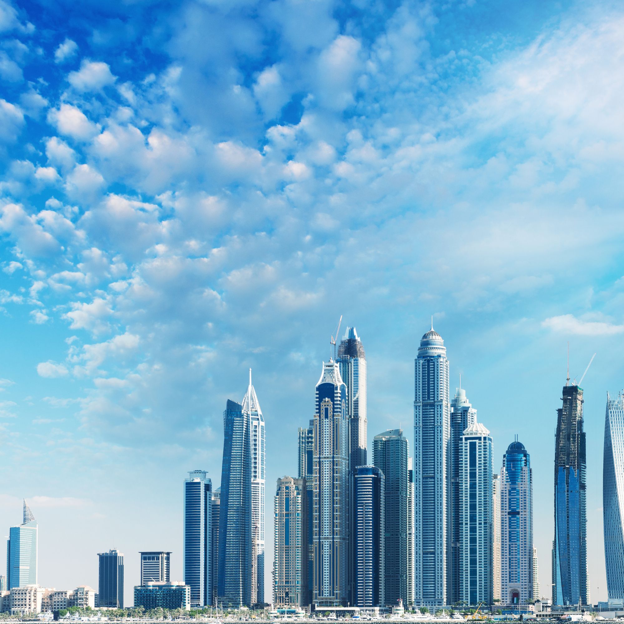 Unlocking Digital Footprints: Strategic Value of a UAE Business Directory Register
